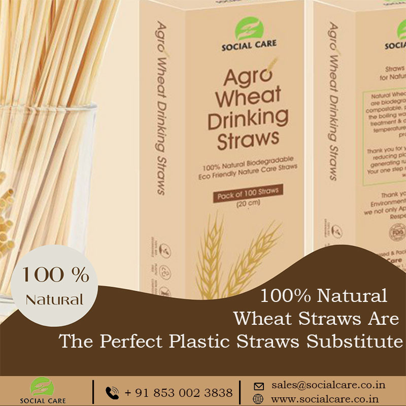 100% Natural Biodegradable Eco Friendly Nature Wheat Straws 
