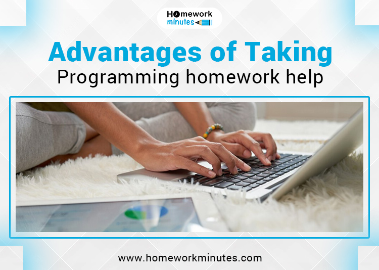Advantages of Taking Programming homework help