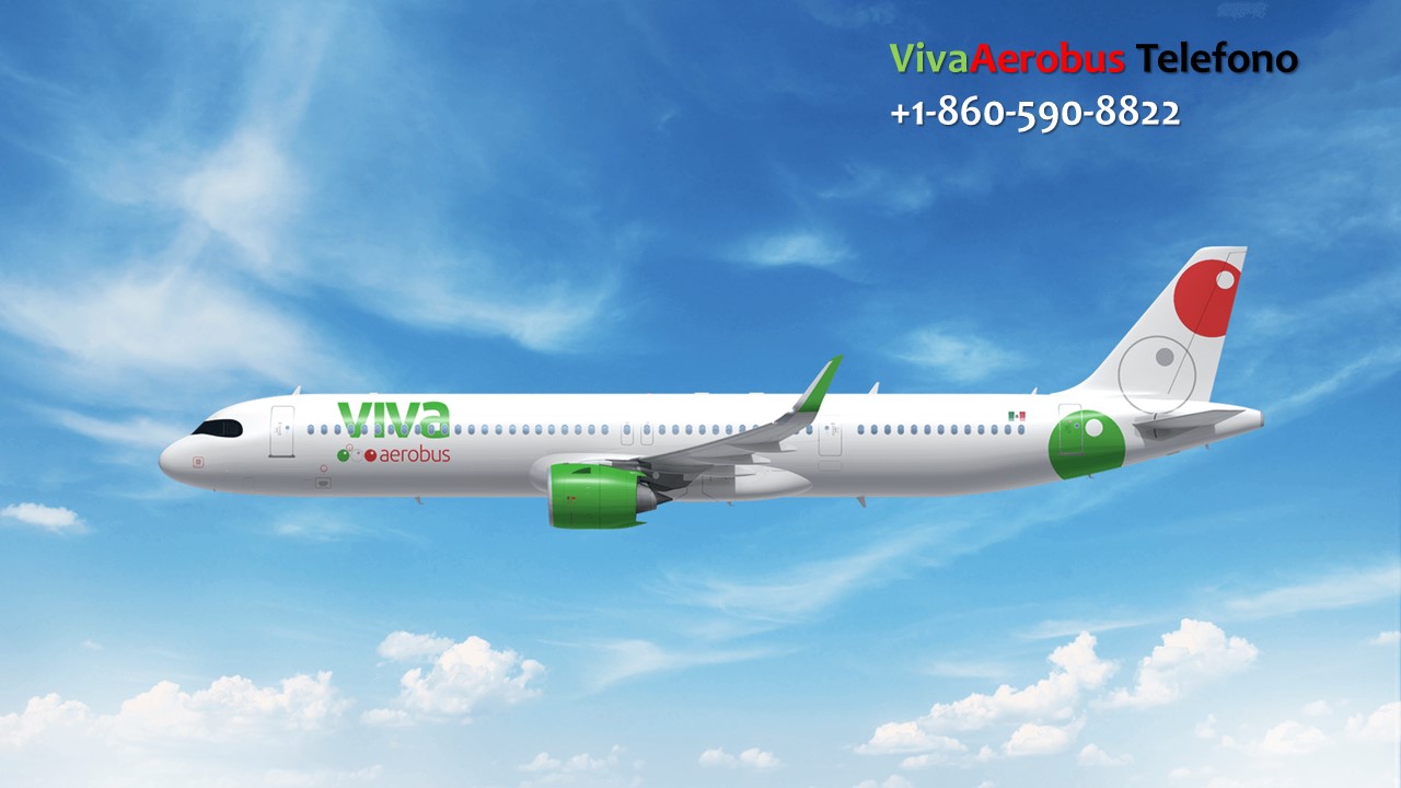 How can I contact Viva Aerobus?