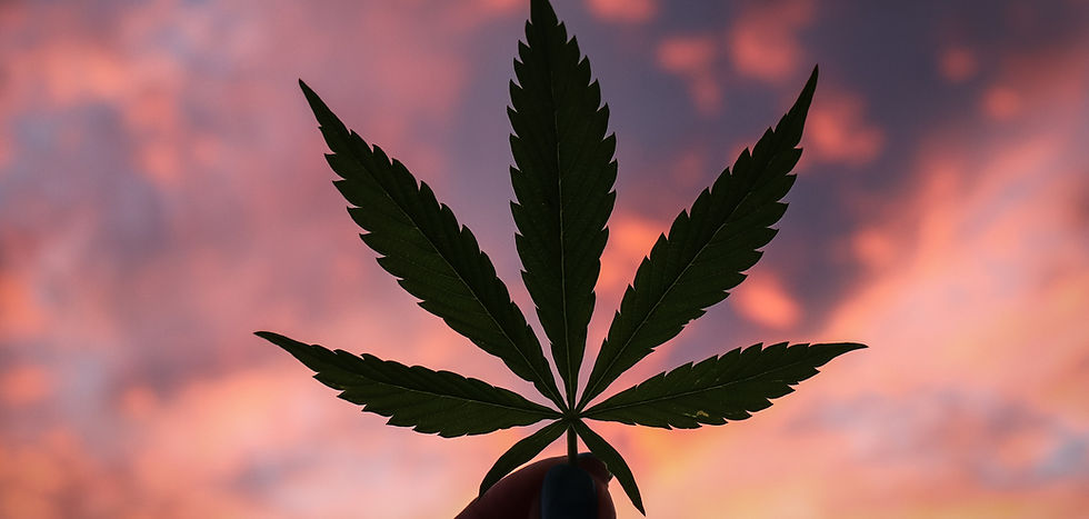 Why Are Cannabis Delivery Services Important?