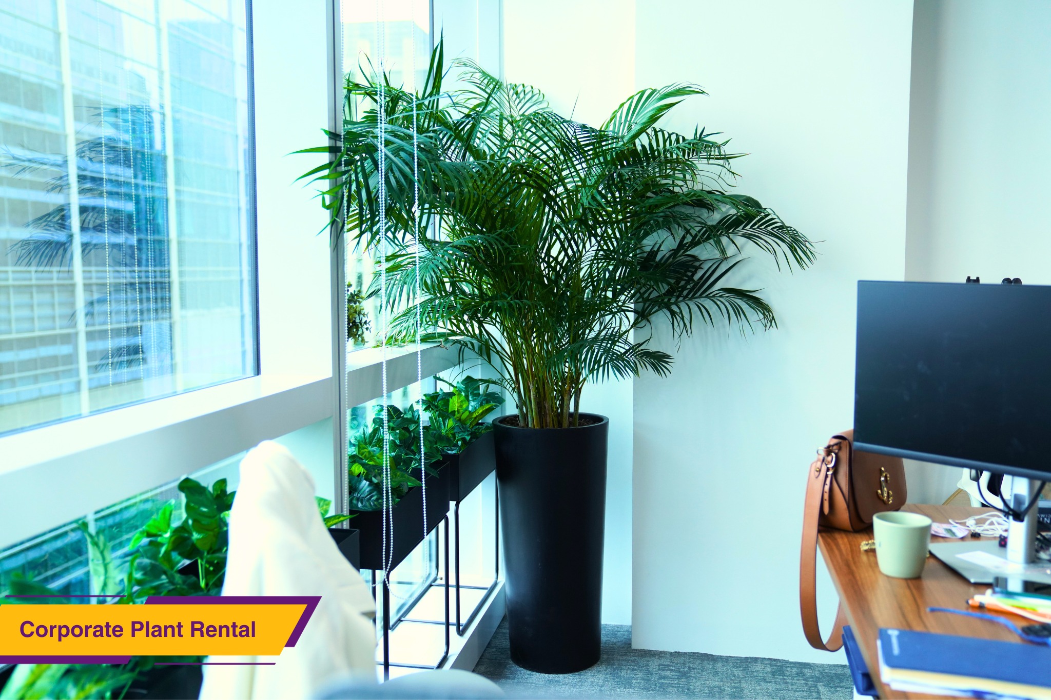 Green Oasis: Transform Your Space with Top Landscaping Services in Singapore