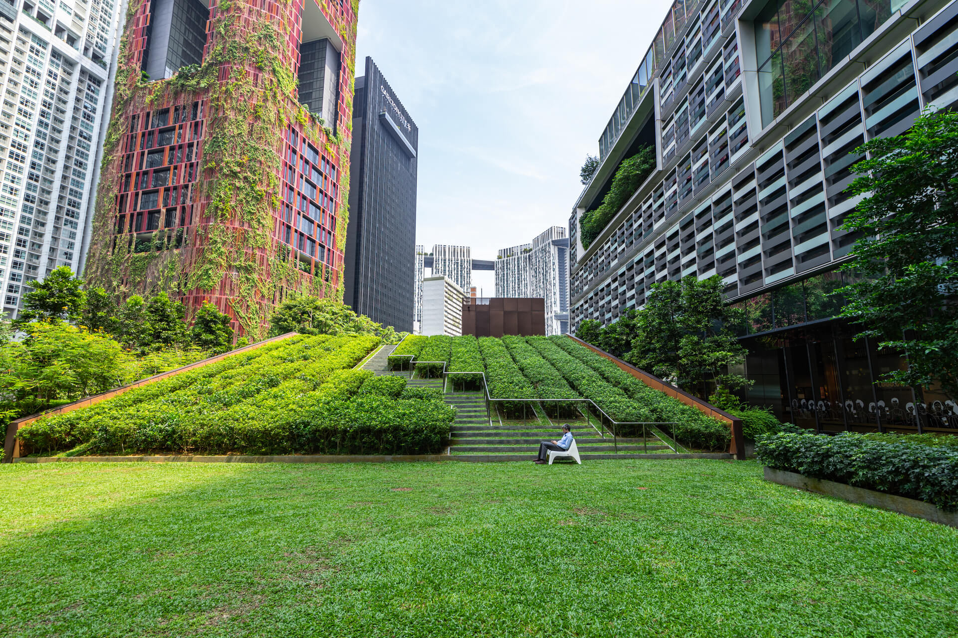 The Ultimate Guide to Hiring a Landscape Contractor in Singapore: Tips and Tricks