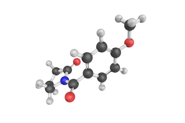 Understanding Aniracetam Duration: How Long Does It Last?