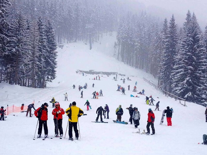 Shimla Tour Package From Chennai Price