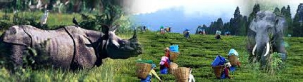 Gangtok Weekend Tour