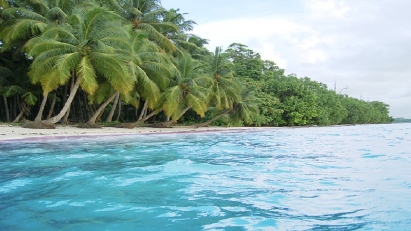 Havelock Family Tour Packages