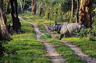 Guwahati Shillong Kaziranga Tour Packages