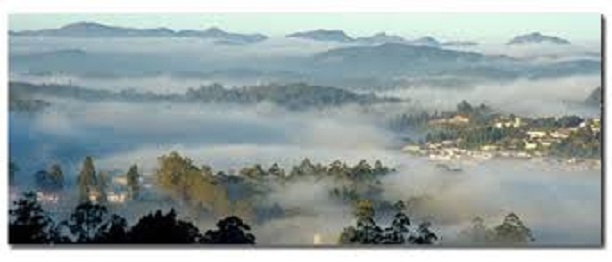 Travel Agent in Gangtok