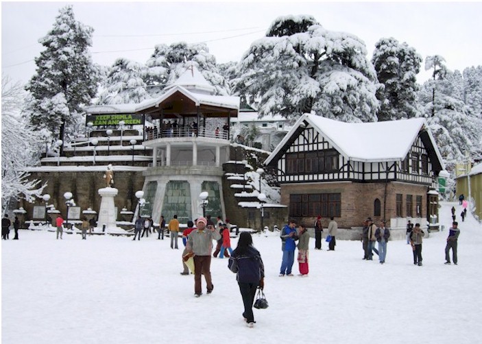 Travel Agent in Shimla
