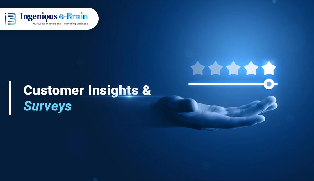 Customer Insights & Surveys from Ingenious e-BRAIN Solutions