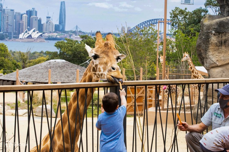 what about Taronga Zoo?