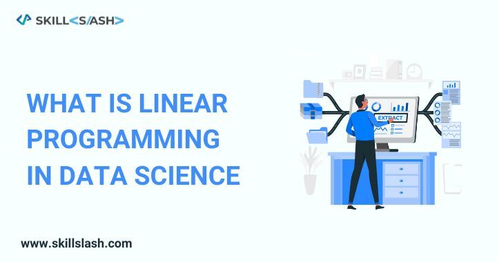 What is Linear Programming in Data Science: Overview