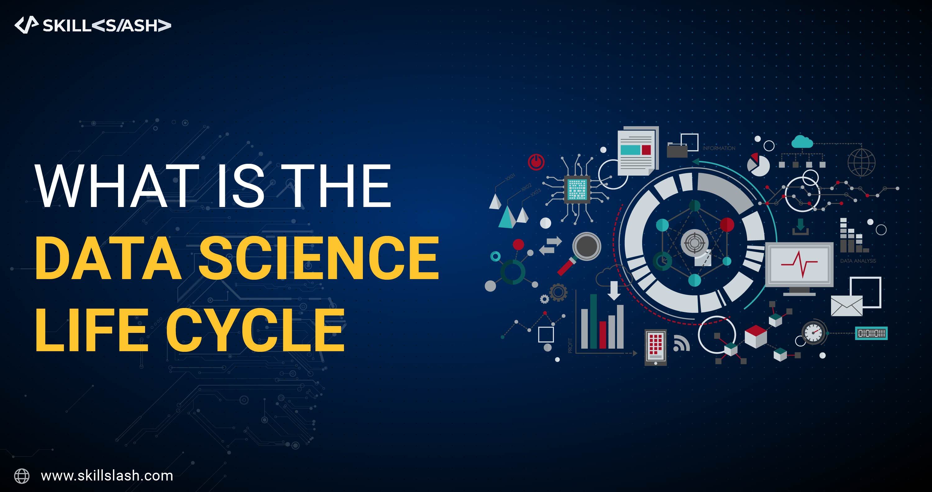 What is the Data Science Life Cycle?