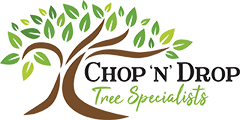 Understanding Why it is Essential to Remove Trees and Block from A Land