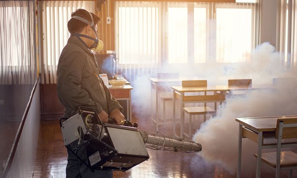 Undertaking Pest Control on Your Property is A Must. But Why?