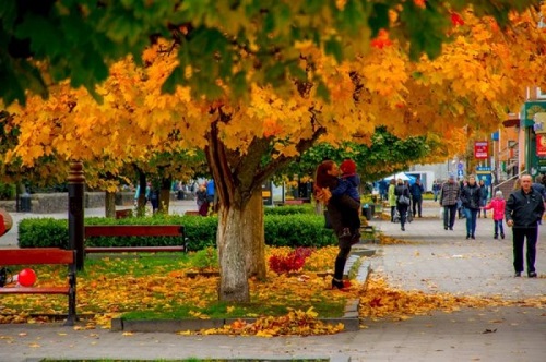 Weather in Kropyvnytskyi: Ukrhydrometeorological center told what 