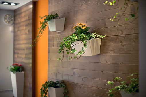 5 Creative Ways to Use Wall Planters for Small-Space Gardening