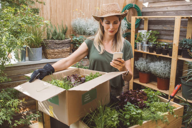 Make Every Day Greener with Plant Delivery in Singapore