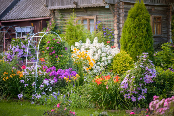 Step-by-Step Guide to Creating an Appealing Home Garden