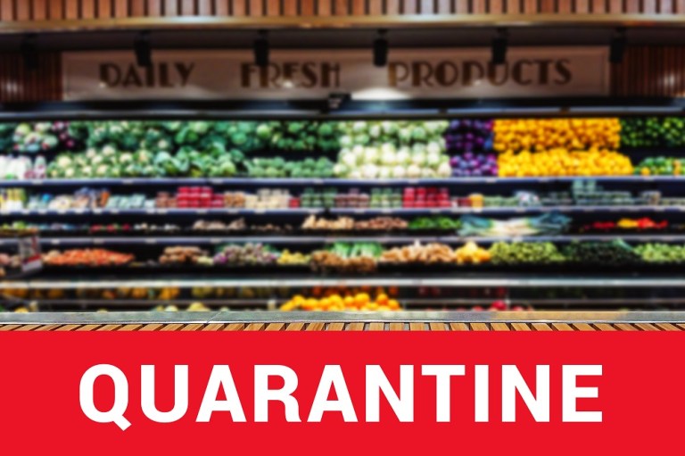 Profitable Grocery Delivery Business amid the Corona Outbreak