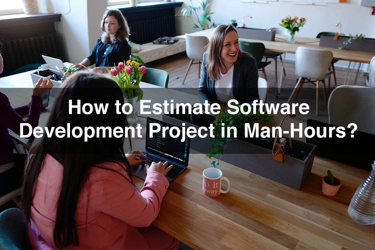 How to Estimate Software Development Project in Man-Hours (software estimate)
