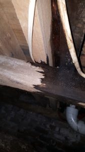 Building & Pest Inspection Melbourne