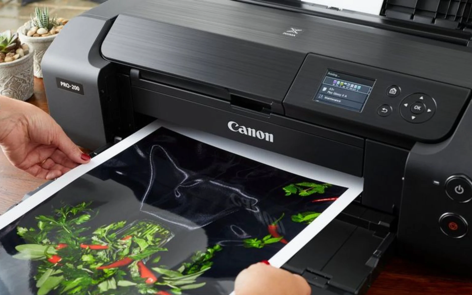 How to Fix “Mac Can't Find Canon Printer” [5 Solutions]