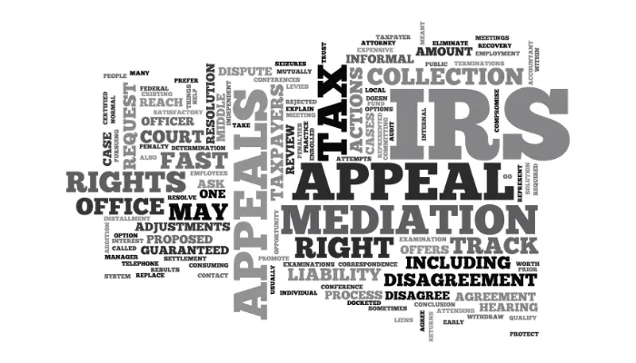How to Navigate the IRS Tax Appeal Process