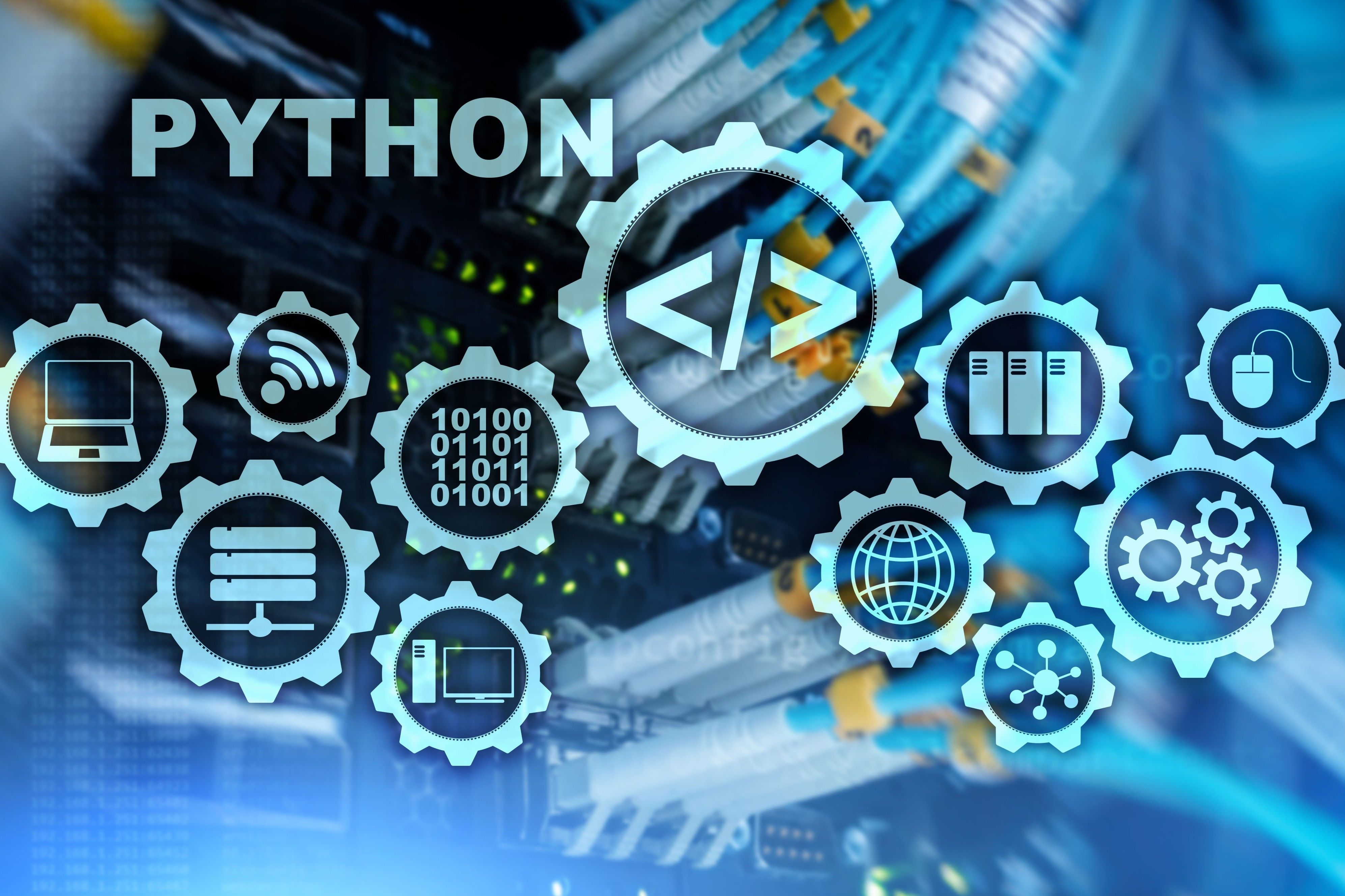 Python For Data Science In NCR Ruling The Programming World