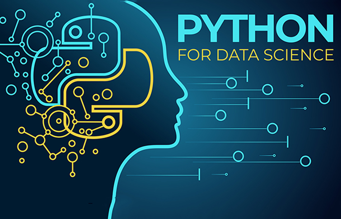 Key Points to Consider While Choosing the Best Python Training Institute In NCR