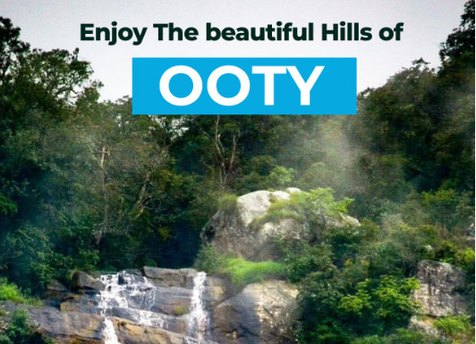 Budget Friendly Cottages in Ooty for your next vacation