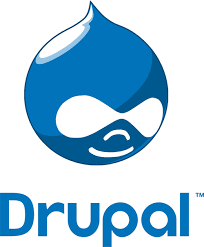 Reasons Why you Should Hire a Drupal Web Developer