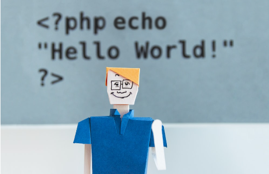 Why Hire a PHP Developer versus others?