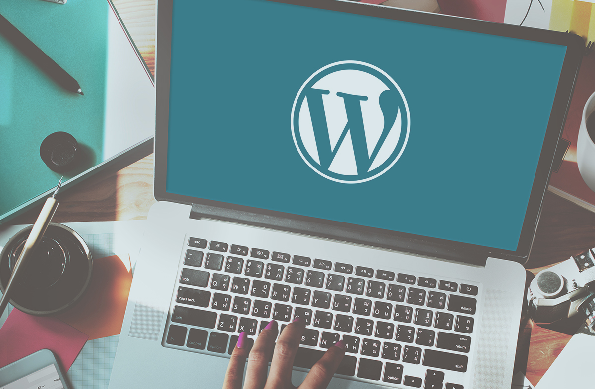 How to become a WordPress Plugin Developer in 6 months: Get started today and master the fundamentals