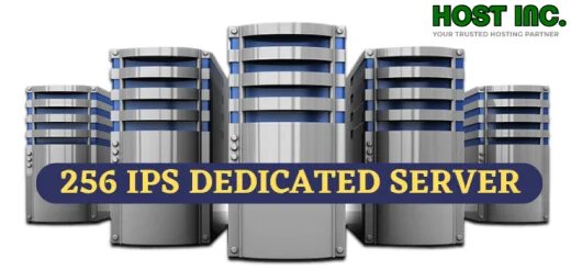 What Is 256 IP Dedicated Server