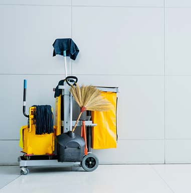 Cleaning Services Clayfield