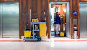 Carpet and Upholstery Cleaning Services in Clayfield