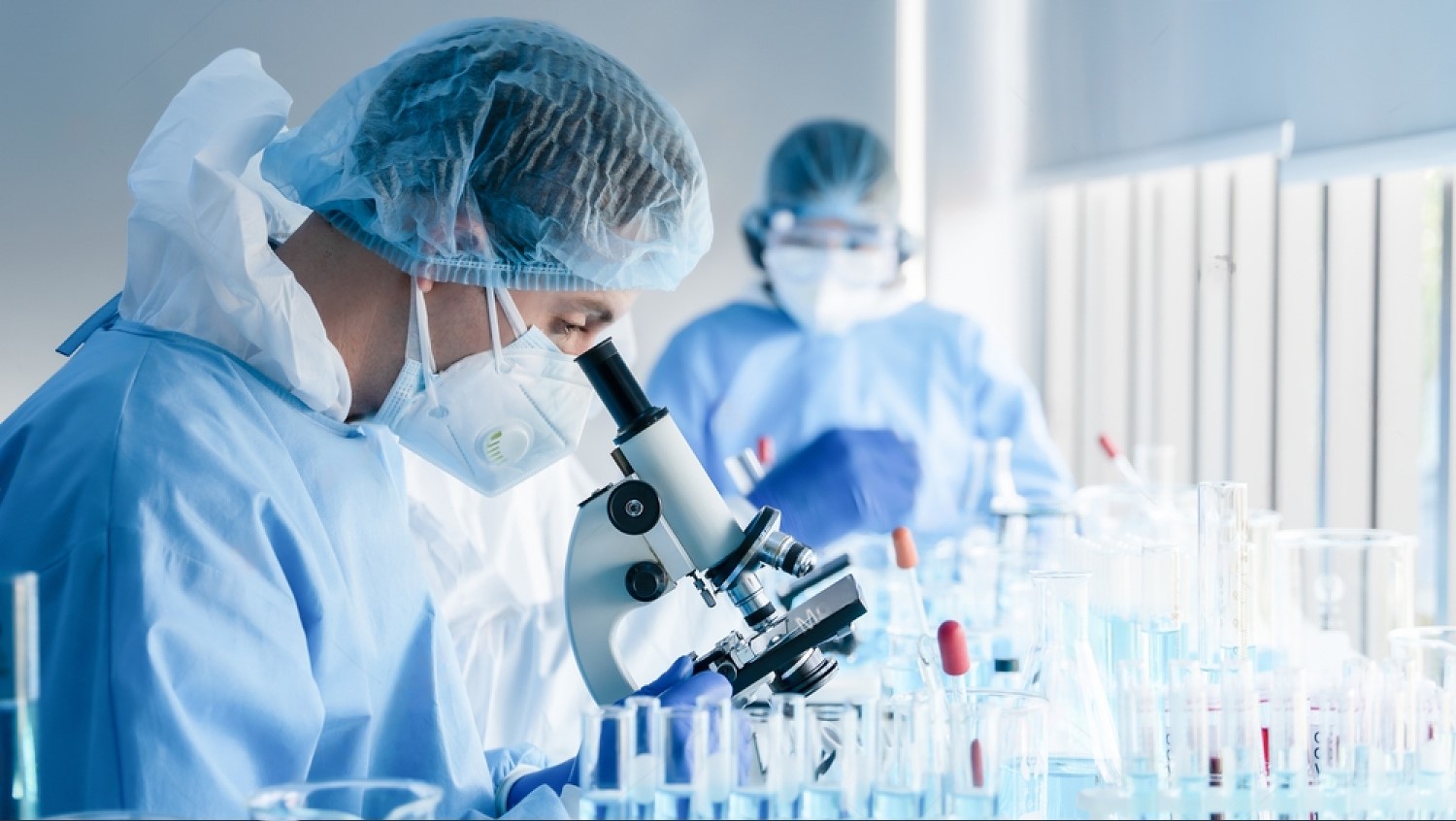 Unveiling the Microscopic World A Look at Dev Bhoomi Uttarakhand University's Microbiology Program