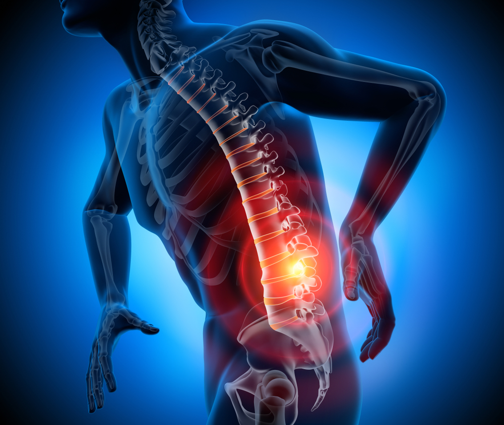 Spinal Cord Injuries : Understanding the Impact on Your Body and Life