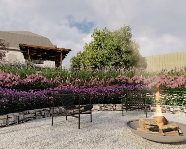 Garden Design Ideas - Creating Interest with Contrast