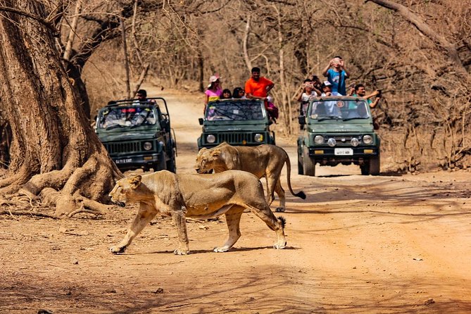 A Step Towards Balanced Ecosystems: Gir National Park