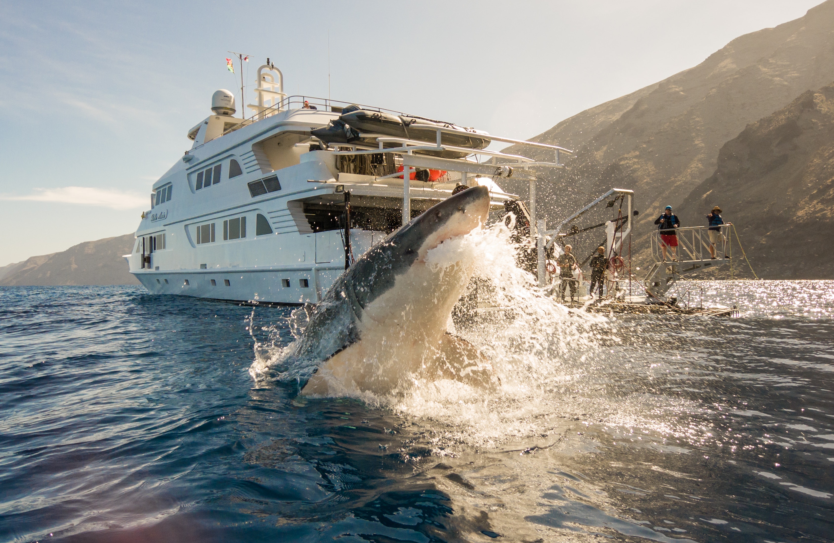 Get Affordable Boat Charters With These Smart Tips