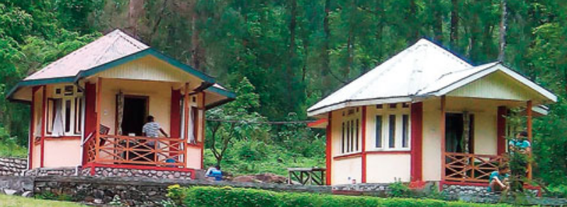 4 Jungle Resorts Near You in Bengal to Check-In in 2022