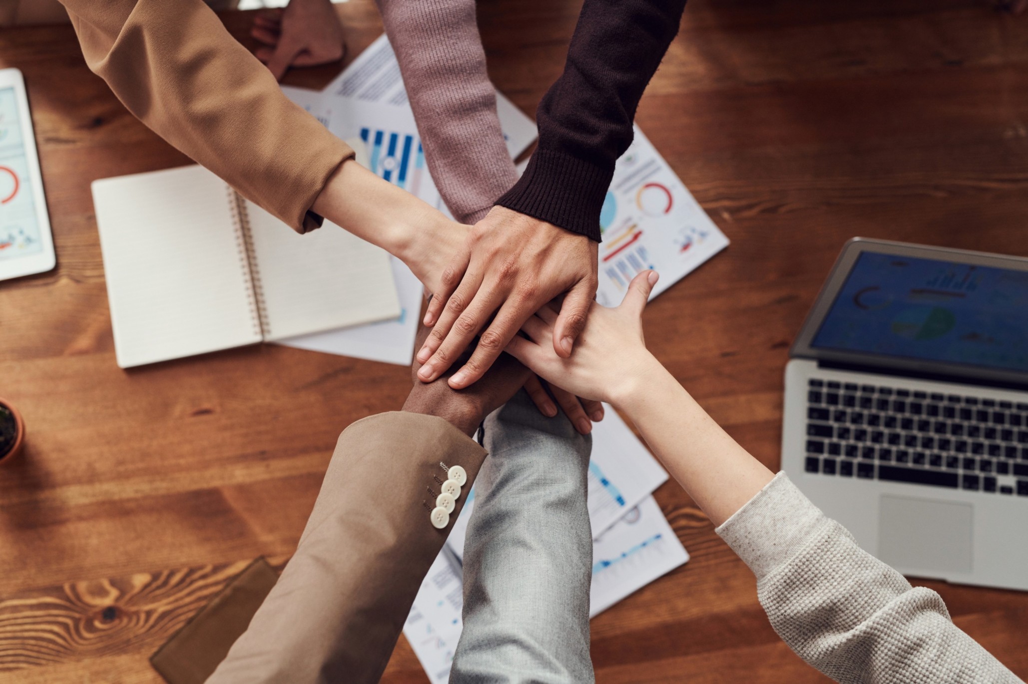 Learning More About The Best SEO Services For Education