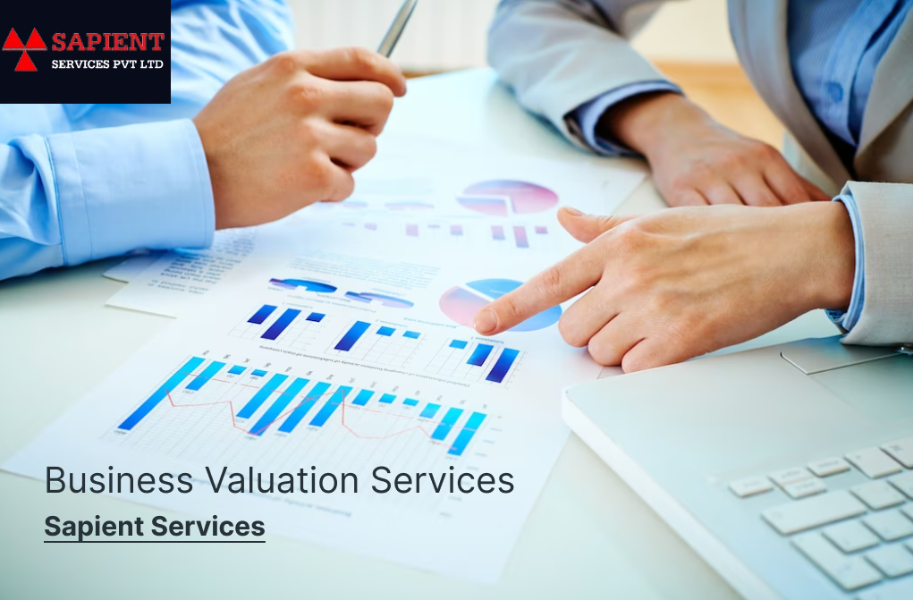 Understanding Business Valuation Services in India - Sapient Services