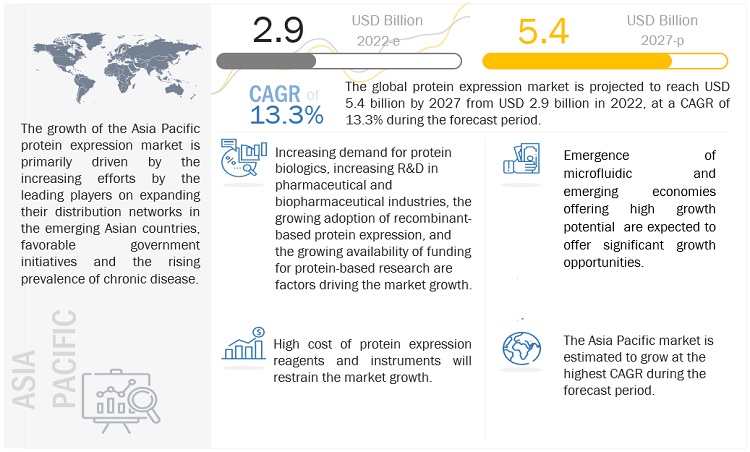 Protein Expression Market Dynamics: Trends, Drivers, and Opportunities