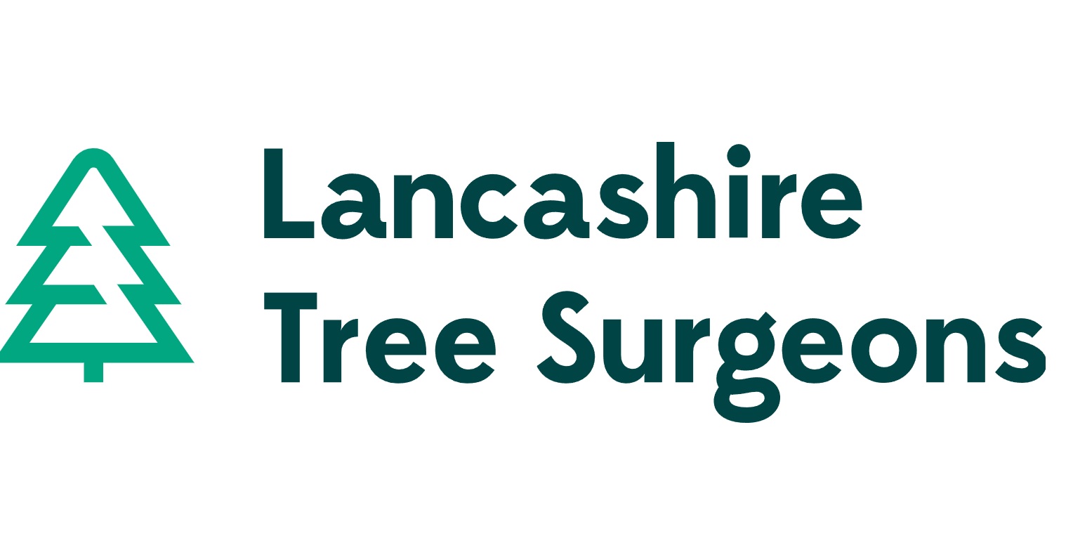 Determine Whether Your Home Requirements Tree Removal Services