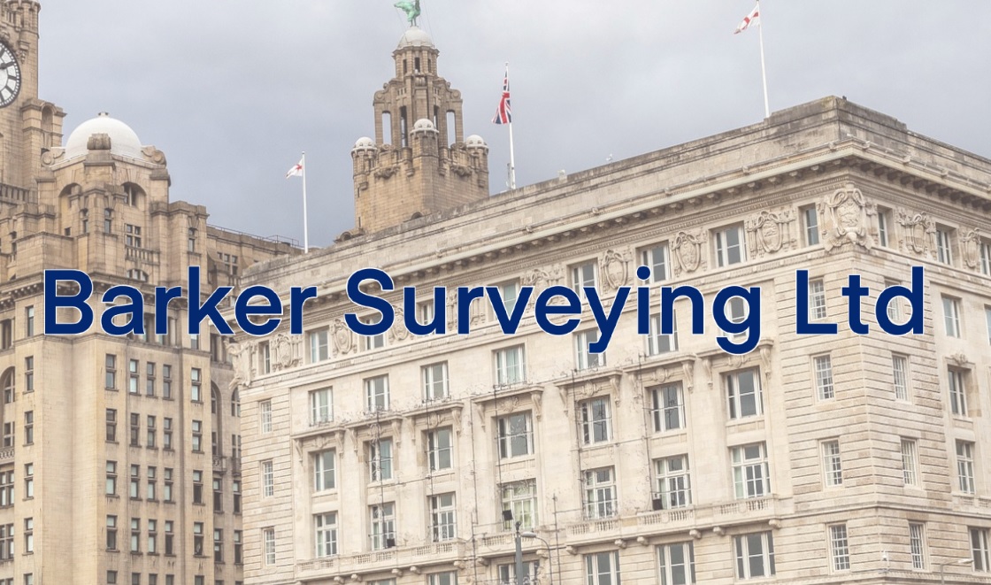 House Surveys - Is It Really worth the Expense?