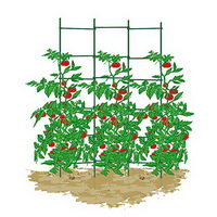 What Material is Best for Plant Stakes?