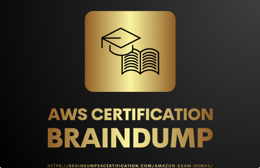 Tested & Approved Amazon AWS Exam Dumps and Study ...